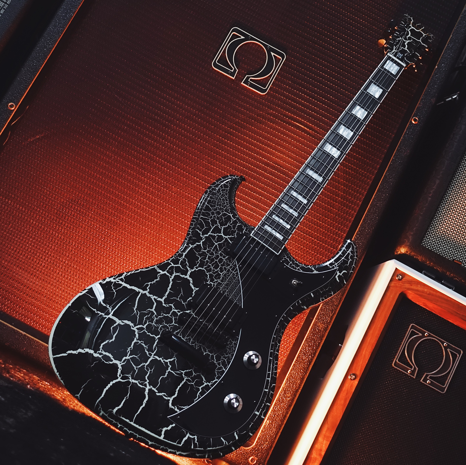 Dunable Gnarwhal DE Black & White Crackle guitar 6 string