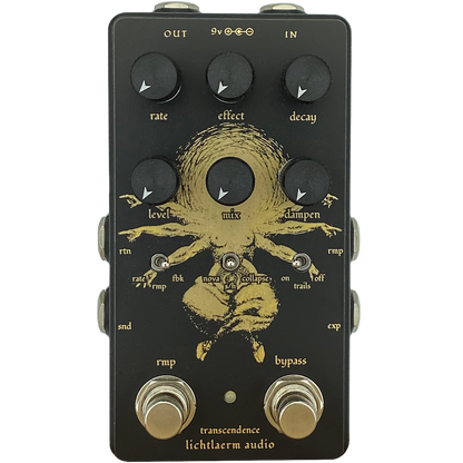 Black and gold Lichtlaerm Transcendence  Reverb